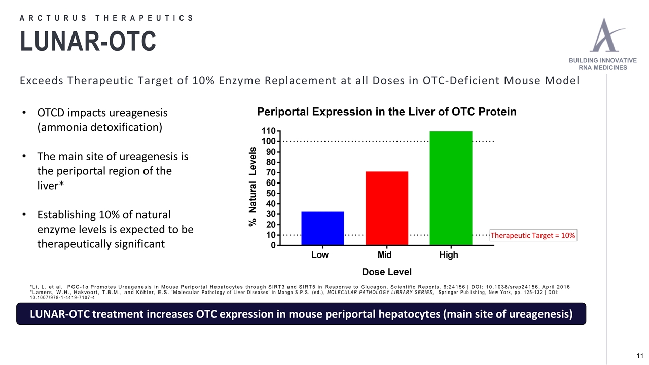 Slide 11