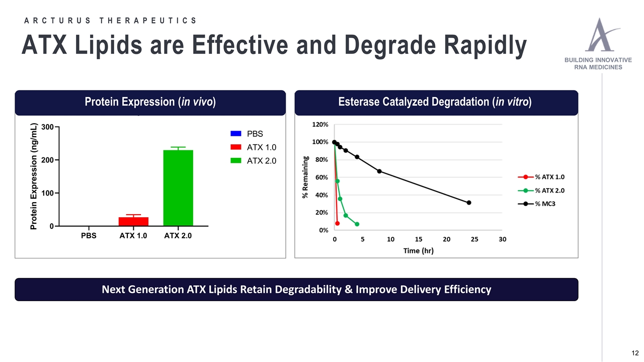 Slide 12