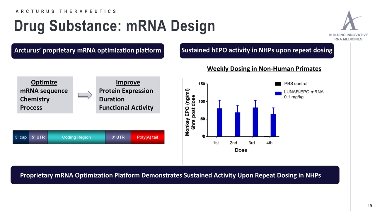 Slide 19