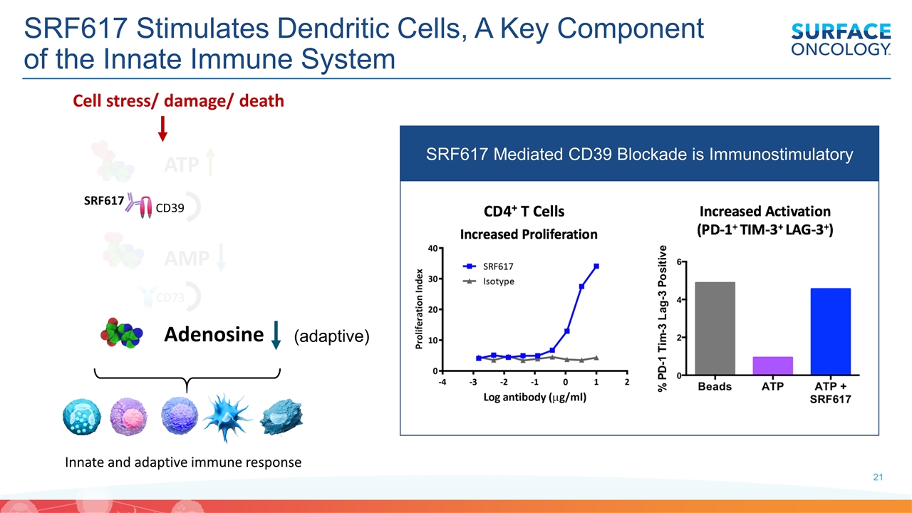 Slide 21