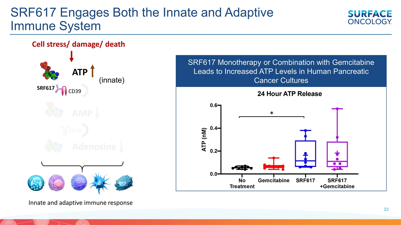 Slide 22