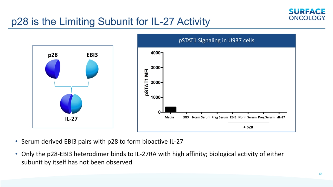 Slide 41