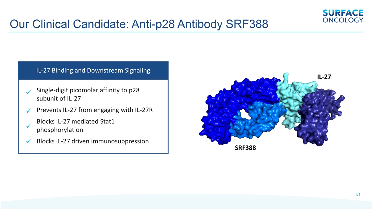 Slide 51