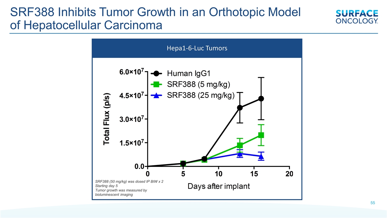 Slide 55