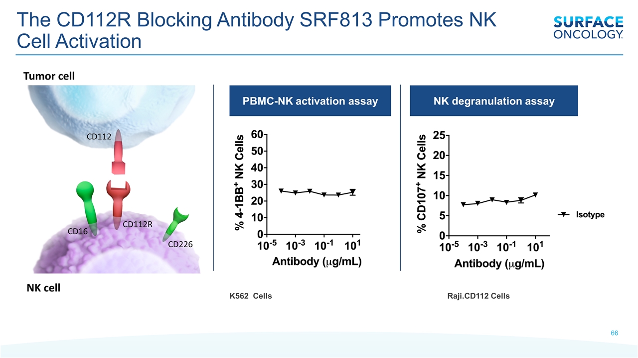 Slide 66