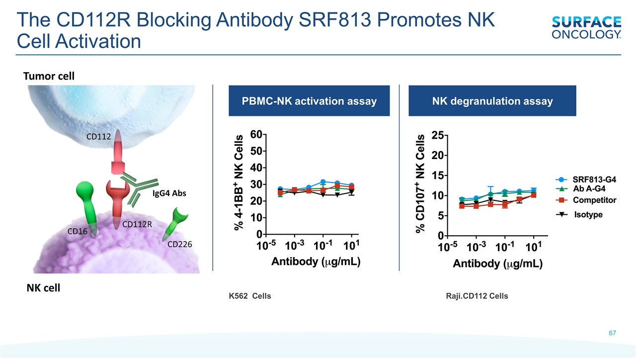 Slide 67