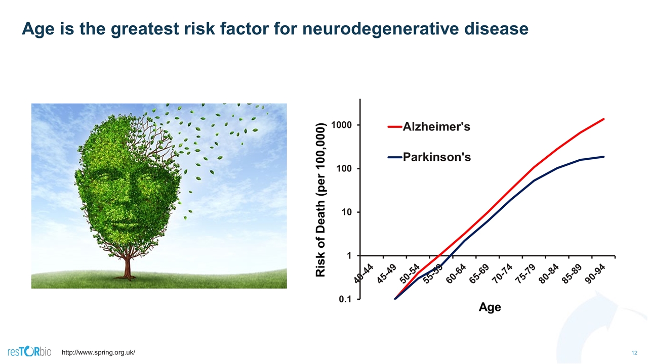 Slide 12