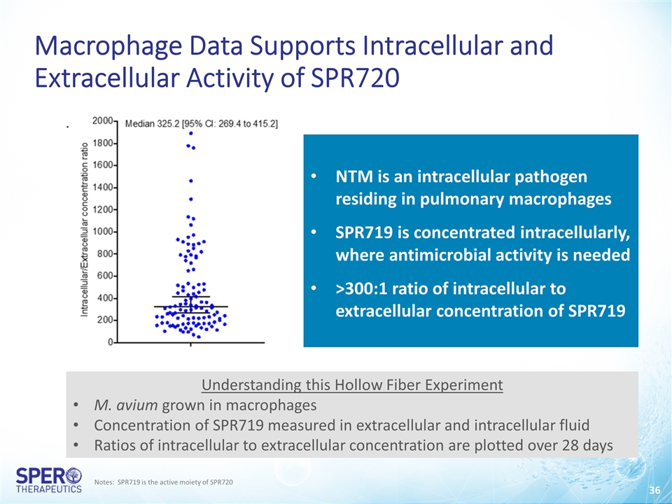 Slide 36