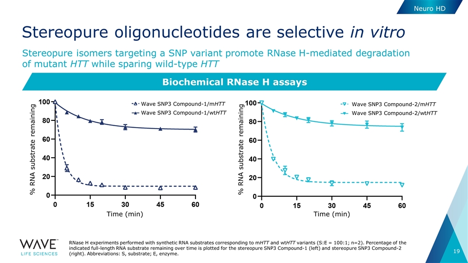 Slide 19