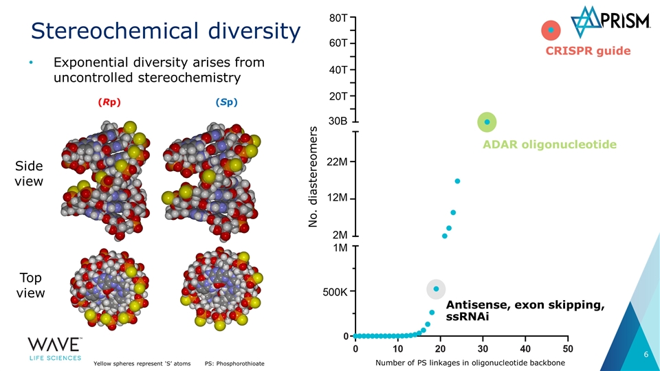 Slide 6