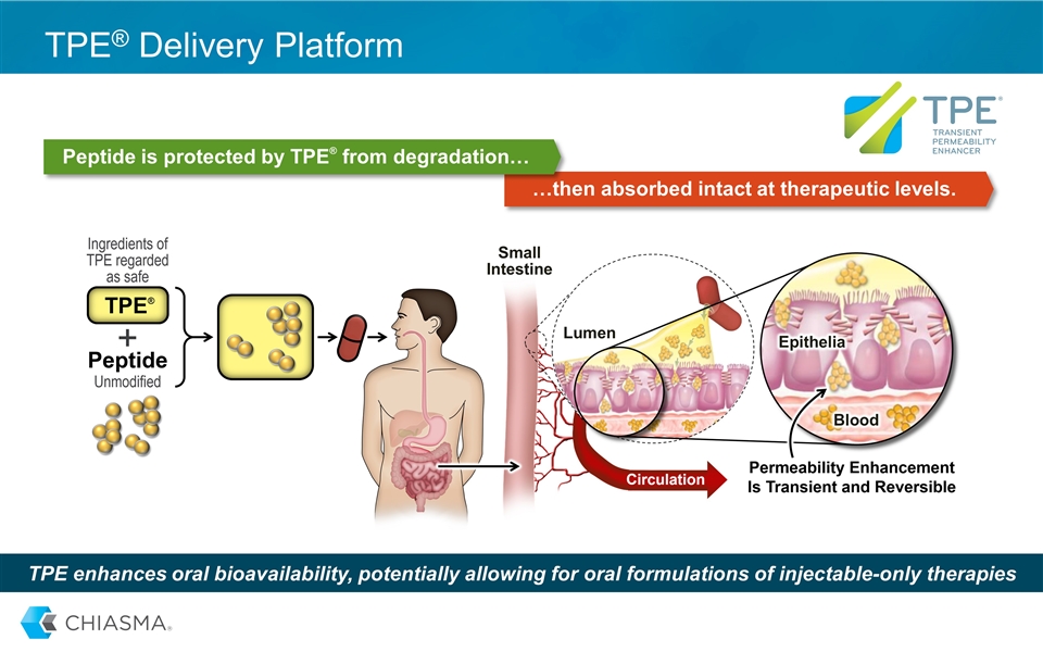 Slide 6