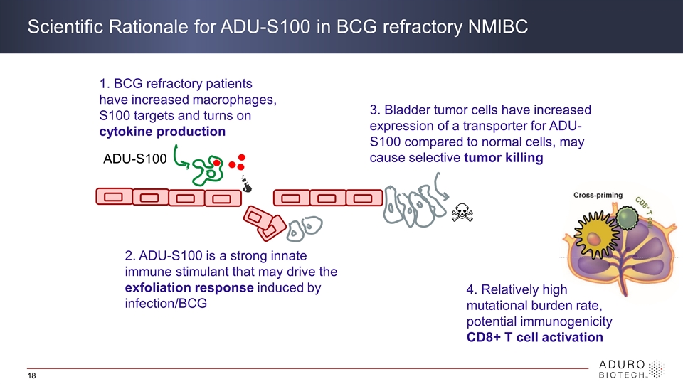 Slide 18