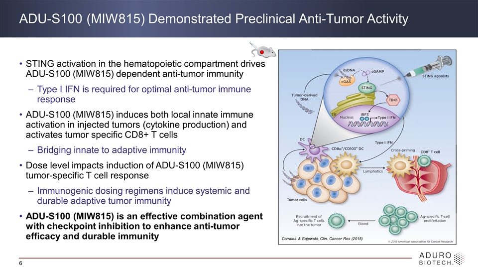 Slide 6