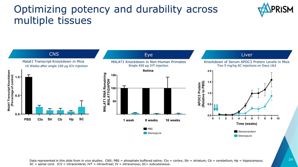 Slide 24