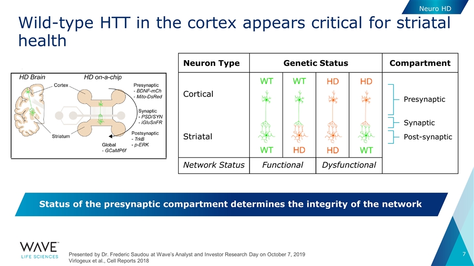 Slide 7