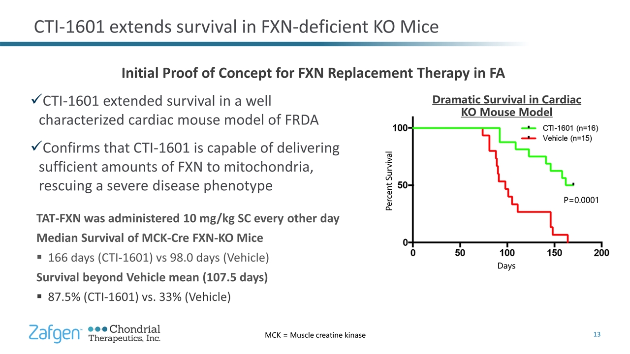 Slide 13