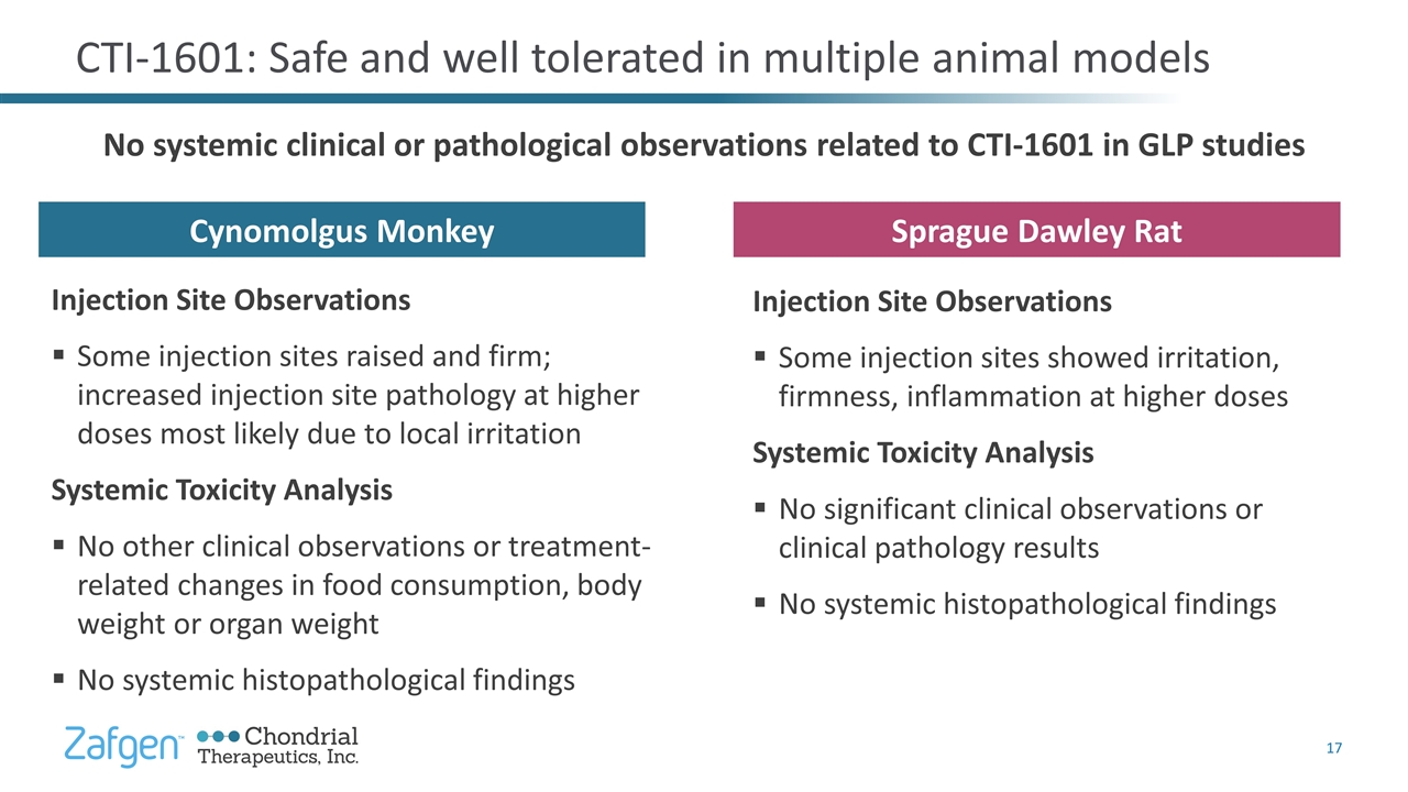 Slide 17