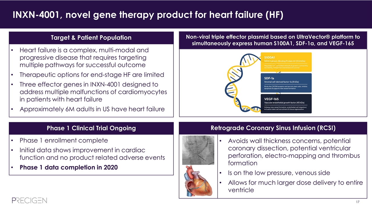 Slide 17