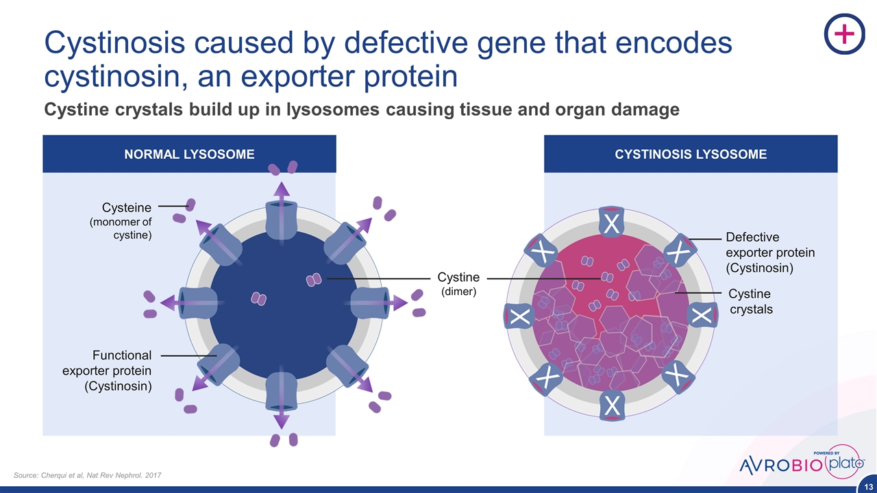 Slide 13