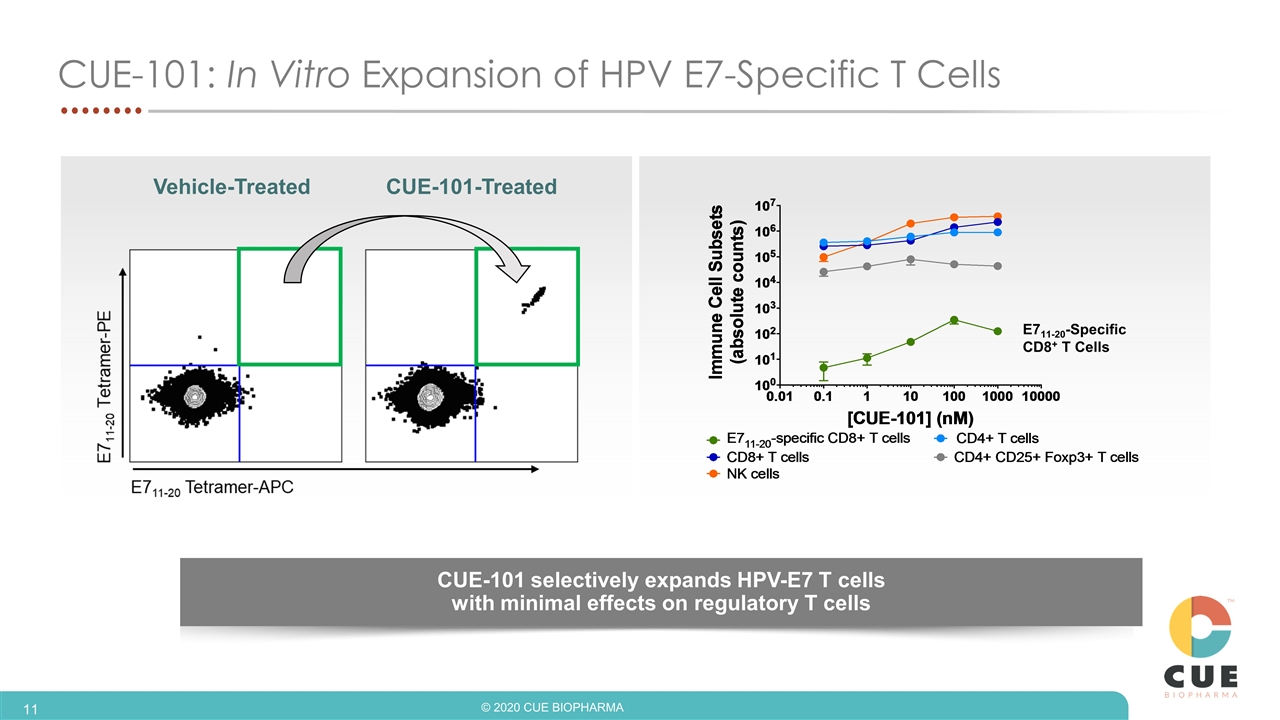 Slide 11