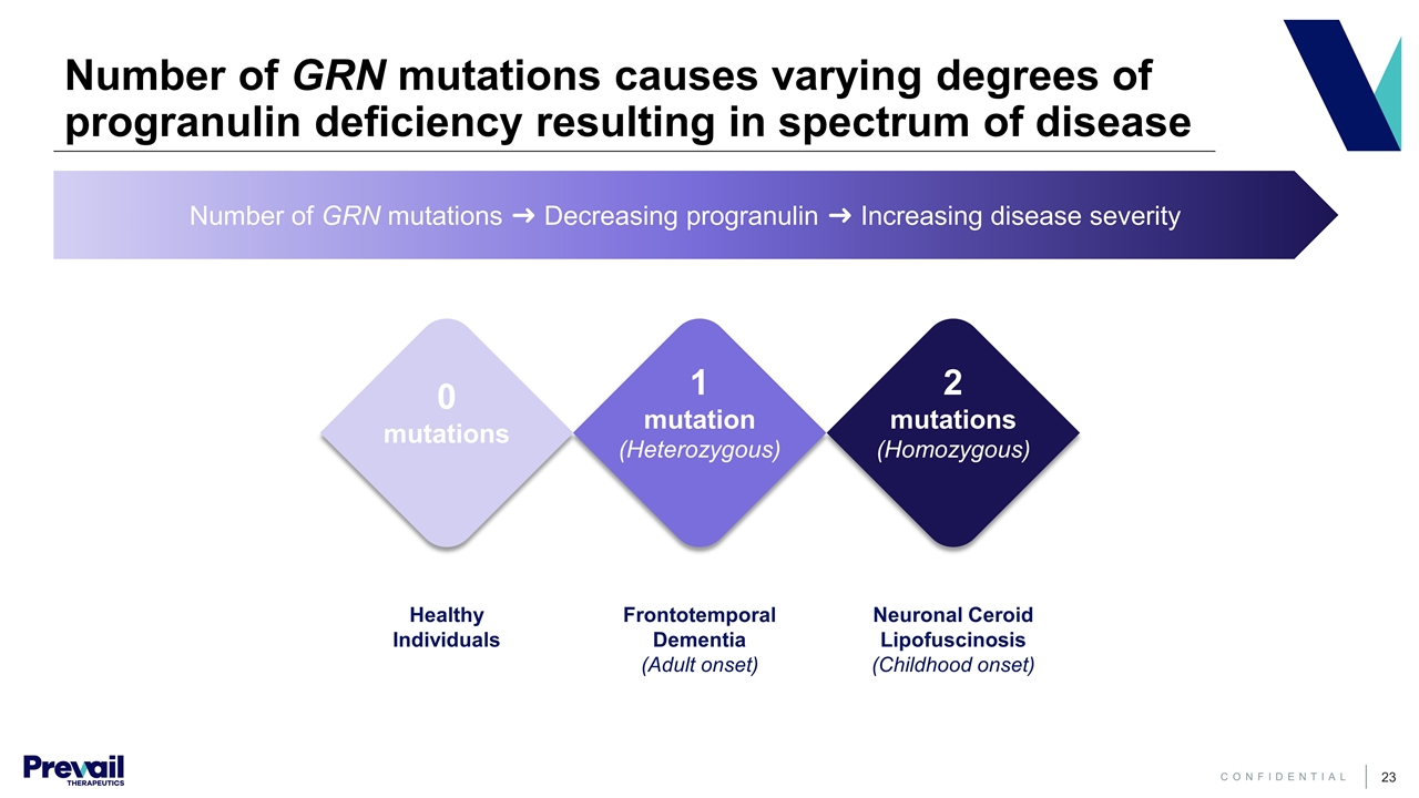 Slide 23