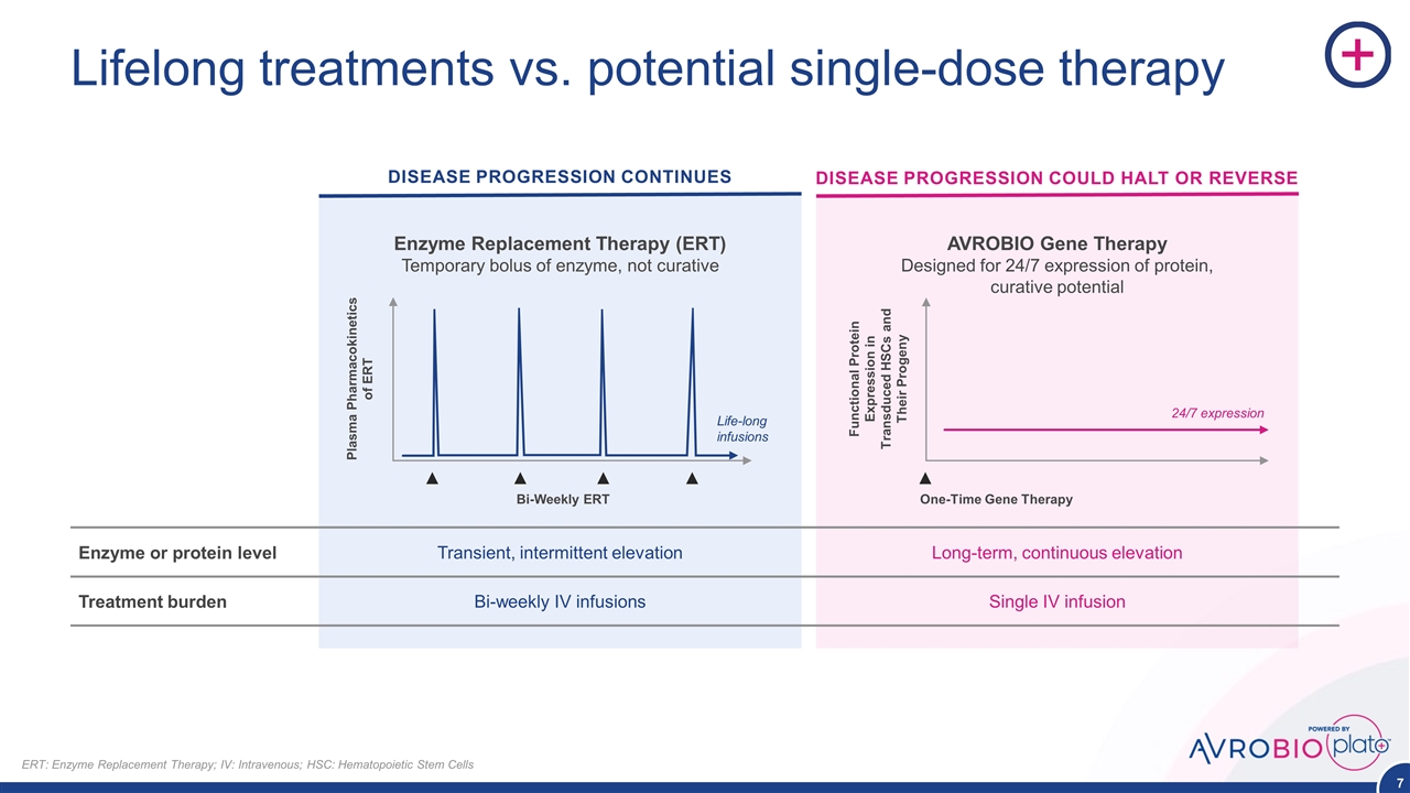 Slide 7