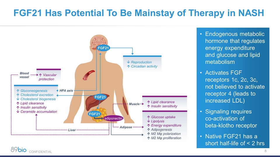 Slide 8