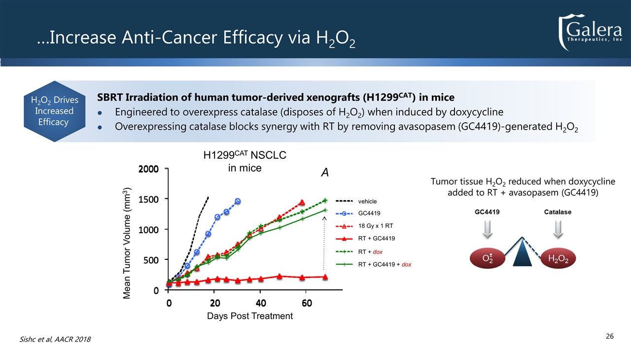 Slide 26