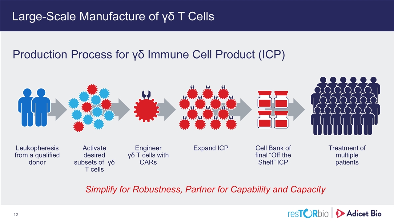 Slide 12