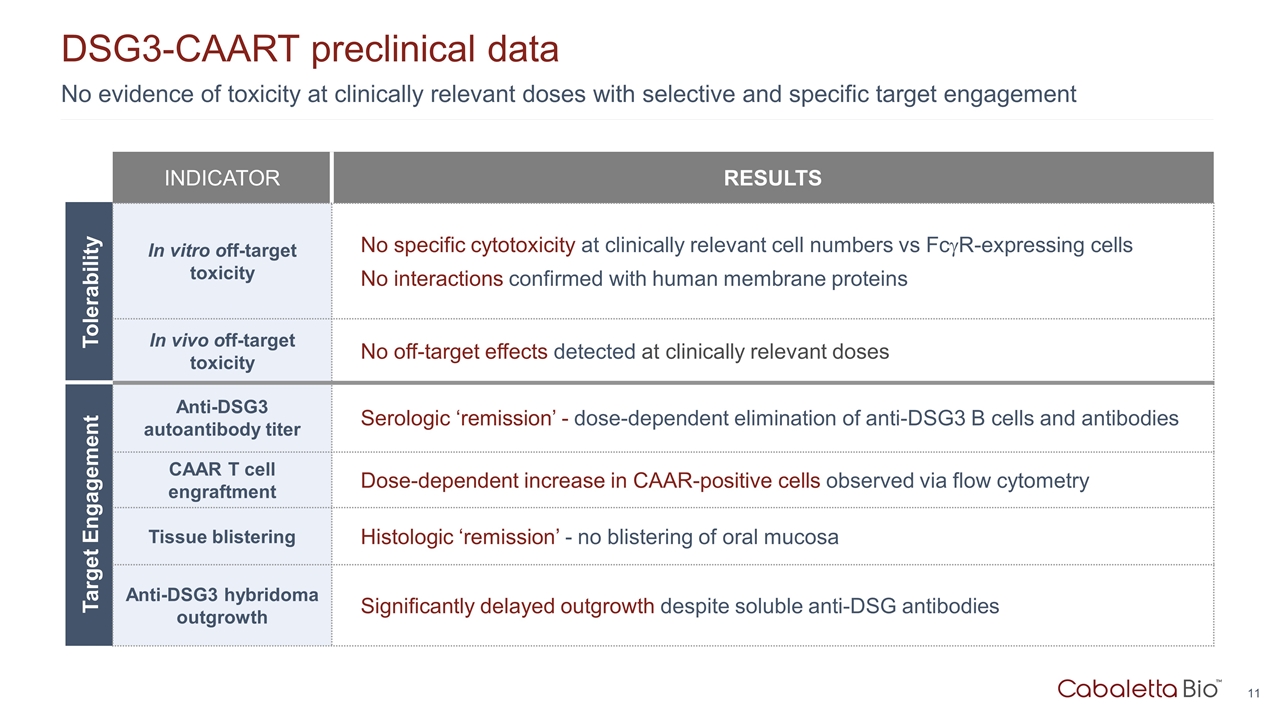 Slide 11