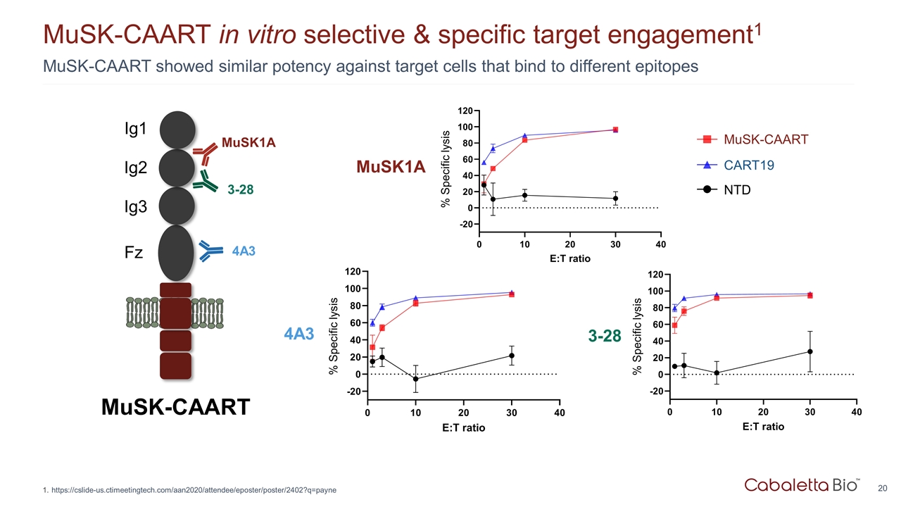 Slide 20