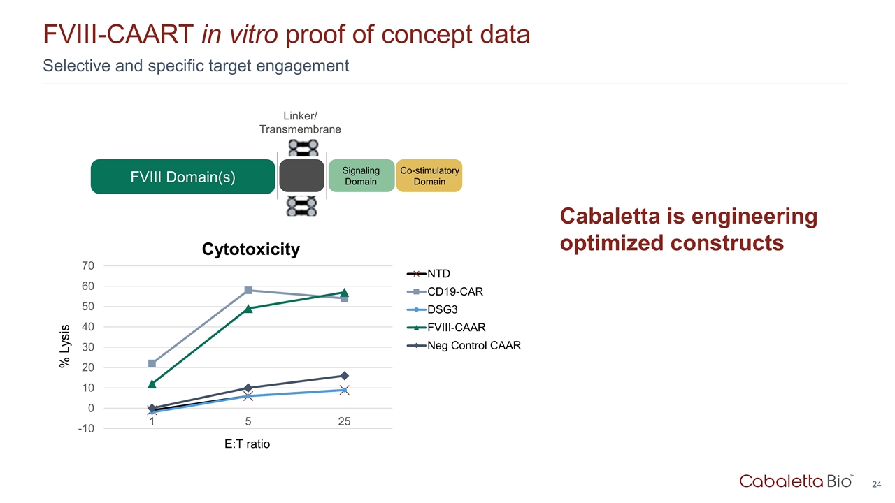 Slide 24