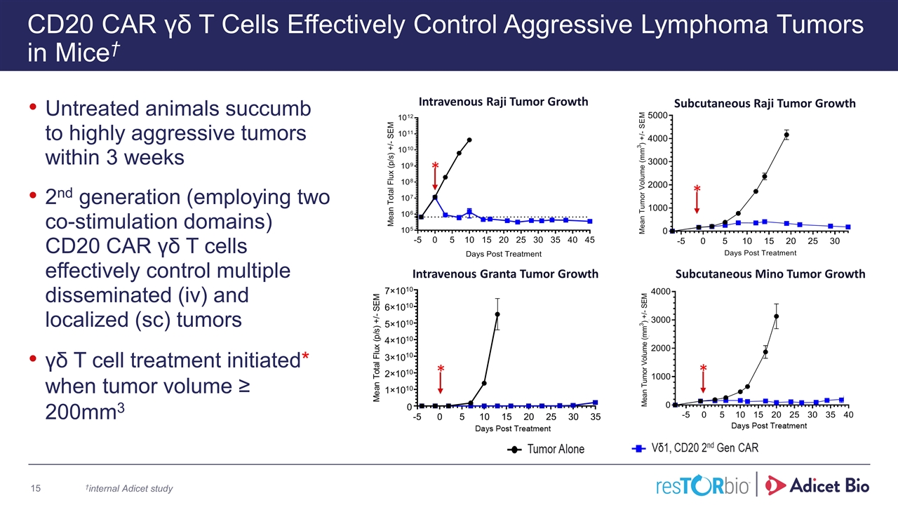 Slide 15