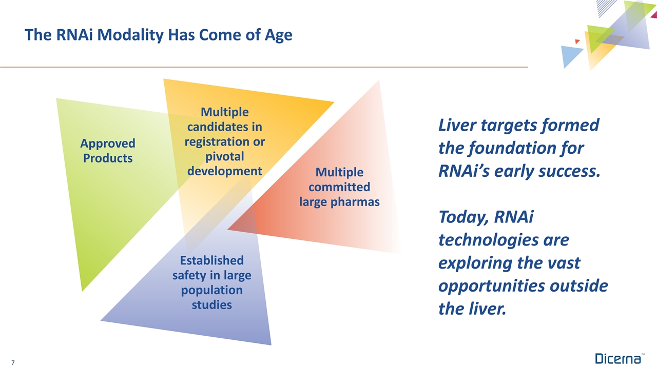 Slide 7