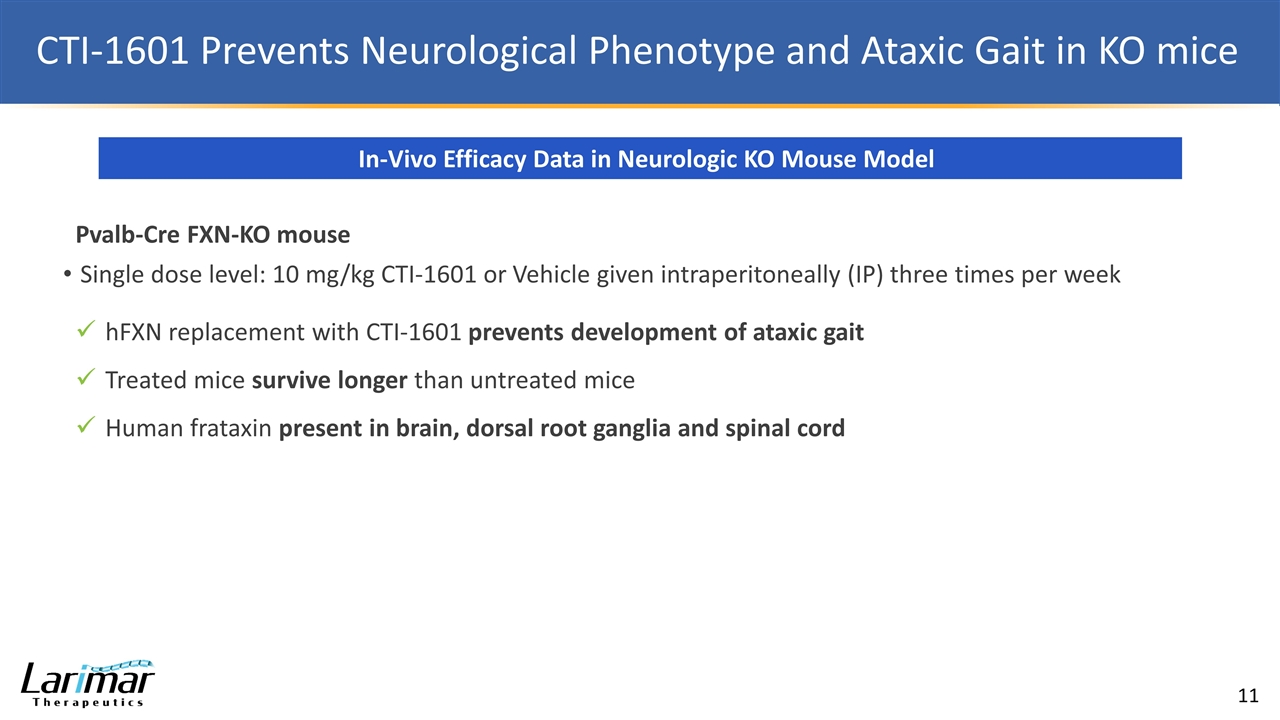 Slide 11