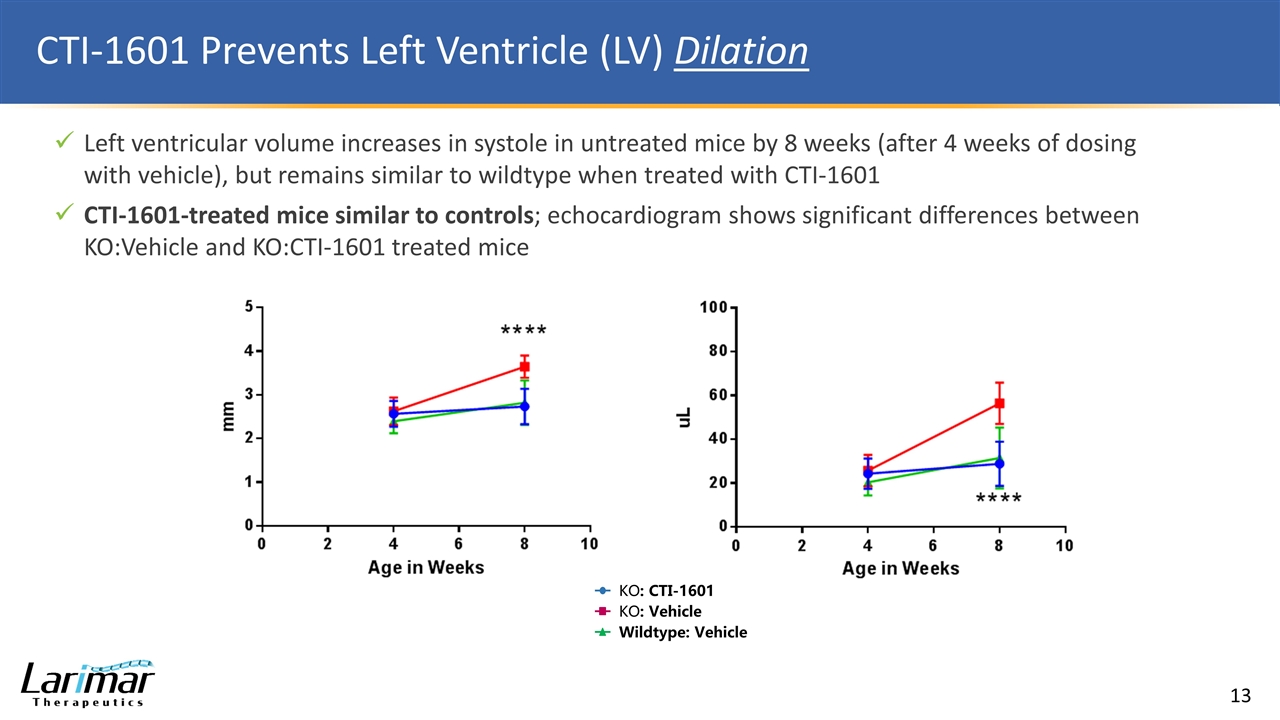 Slide 13