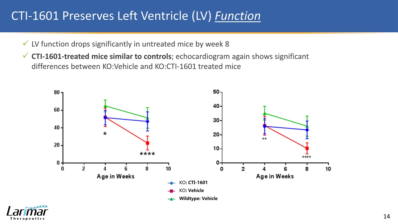 Slide 14