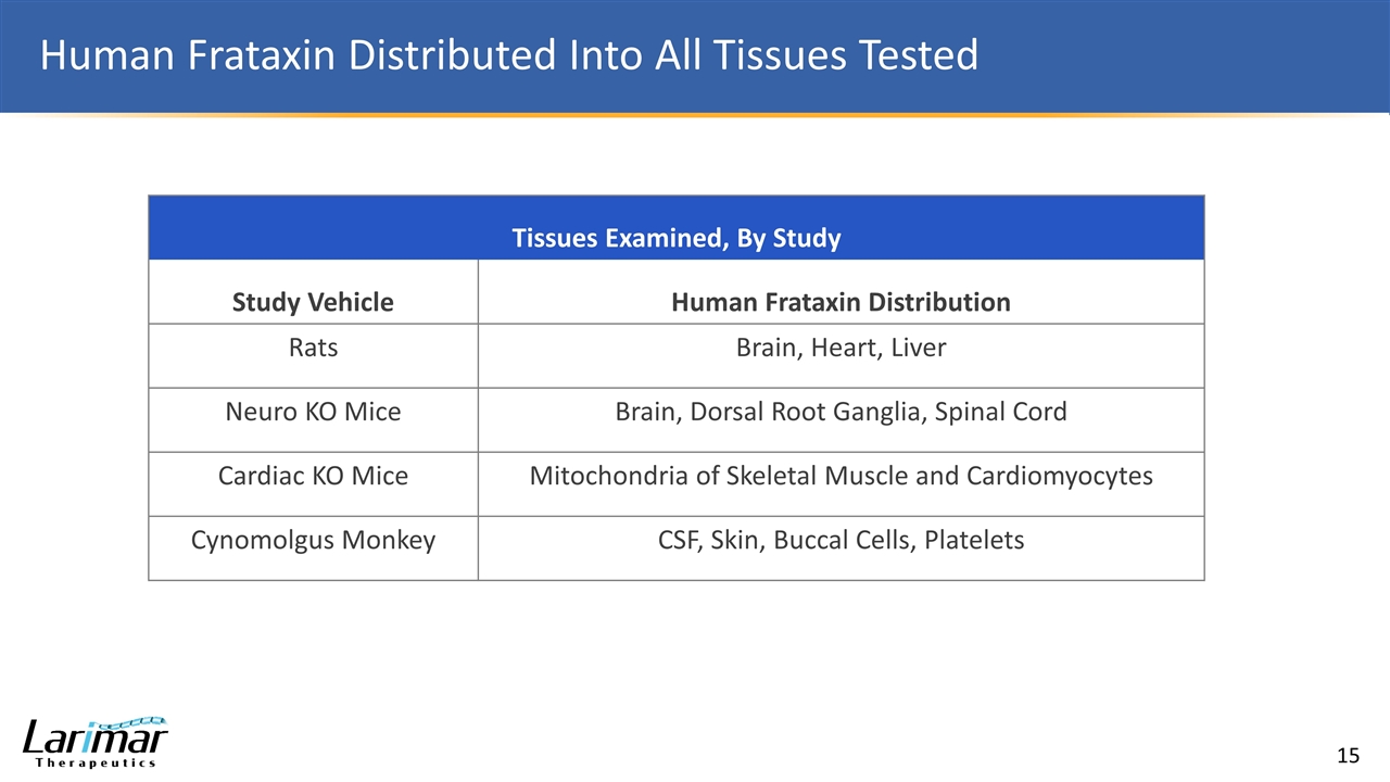 Slide 15