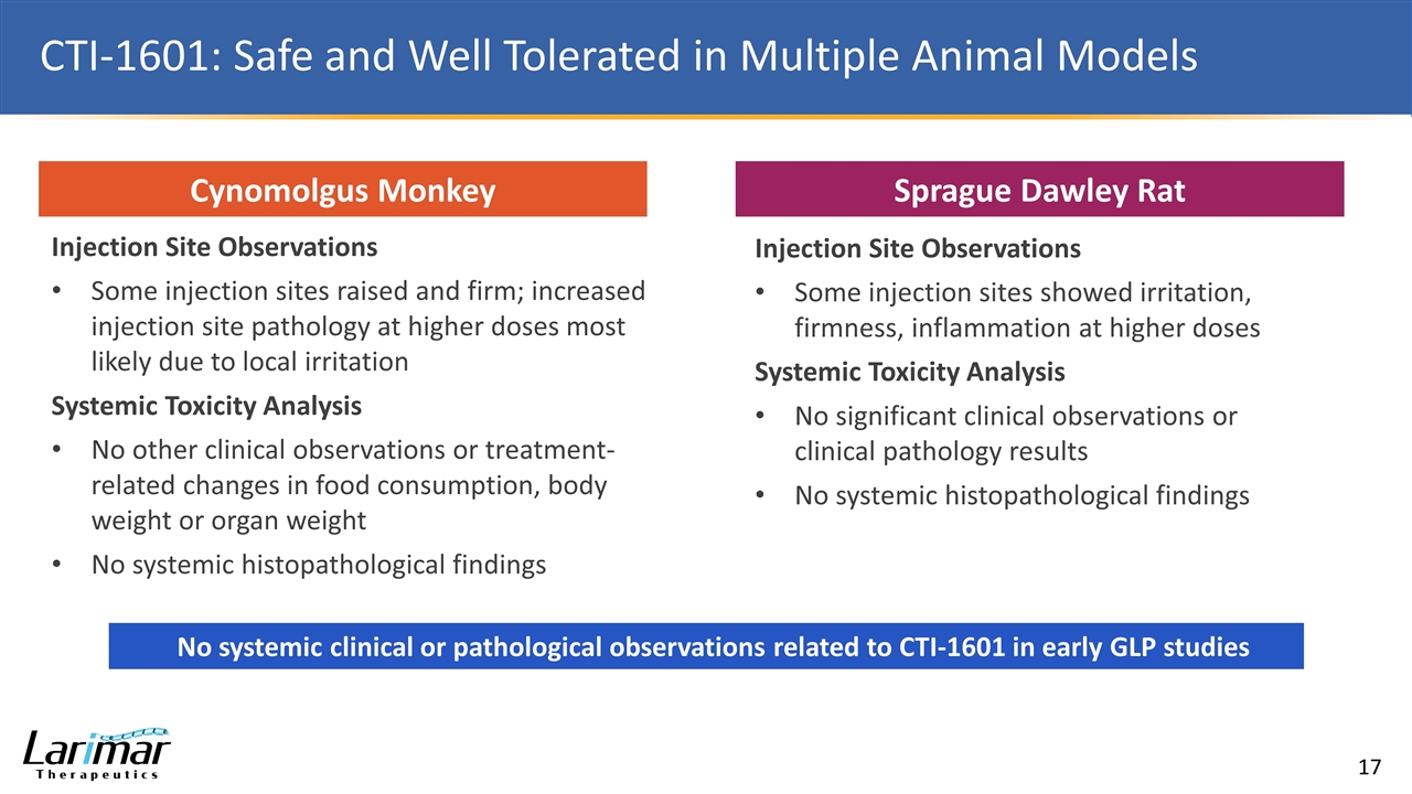 Slide 17