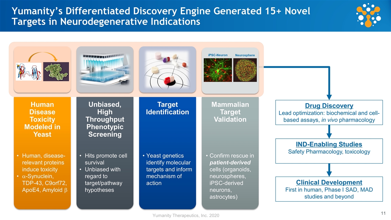 Slide 11