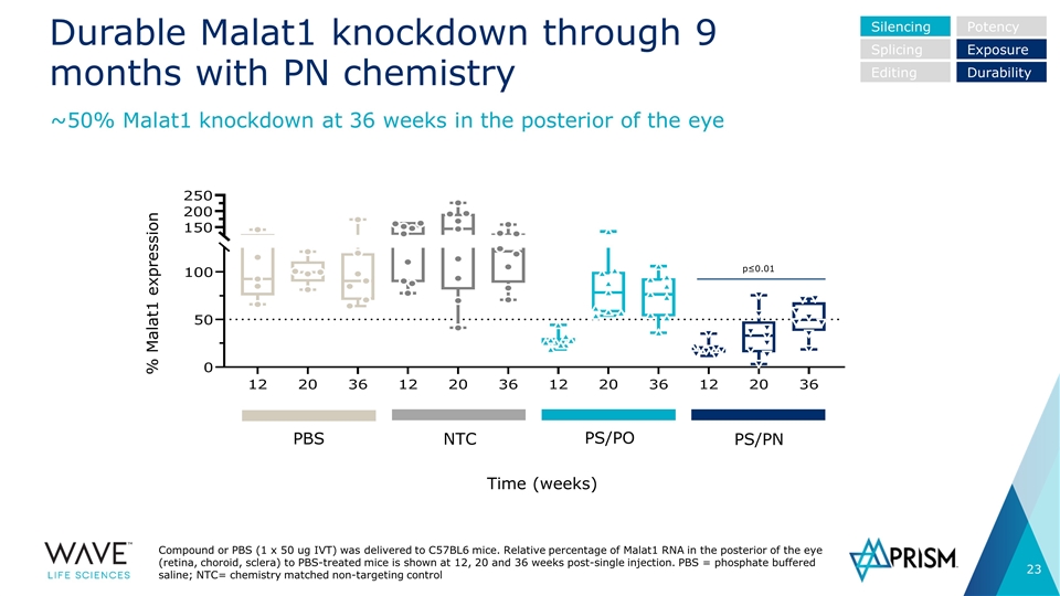 Slide 23