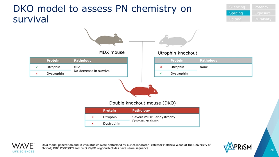 Slide 26