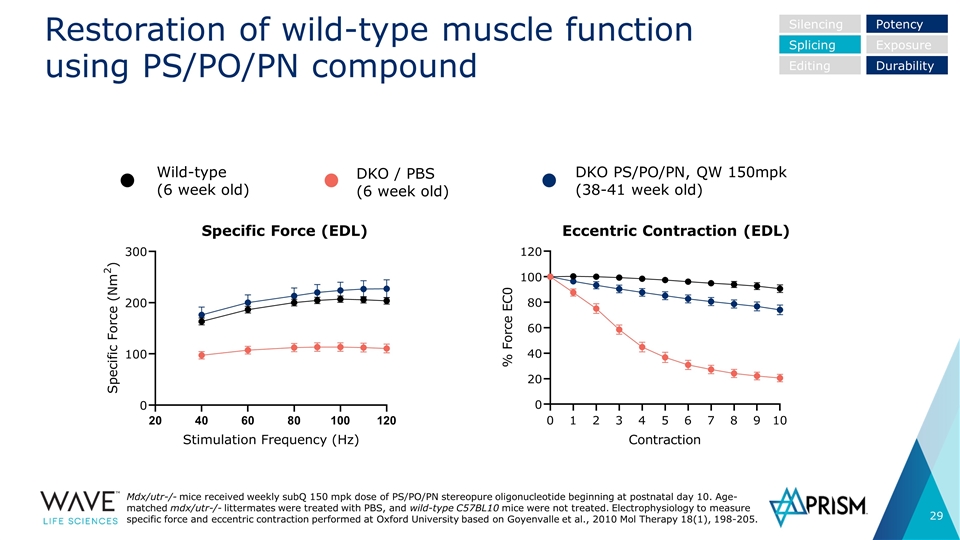 Slide 29