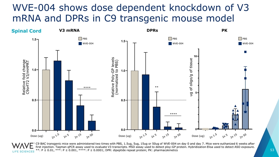 Slide 53