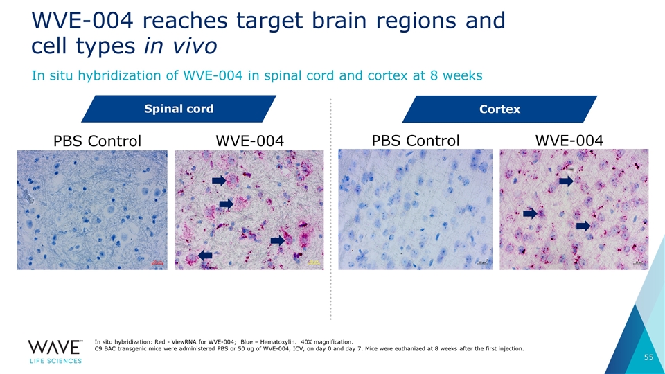 Slide 55