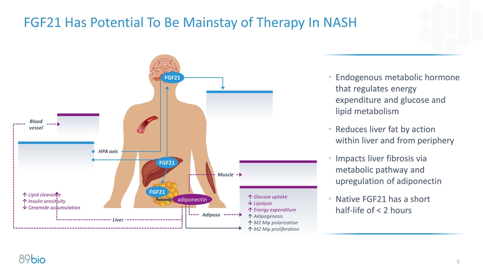 Slide 6