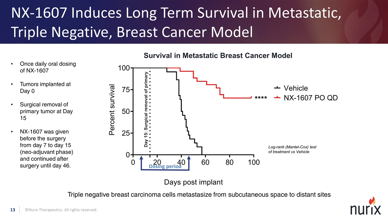 Slide 13