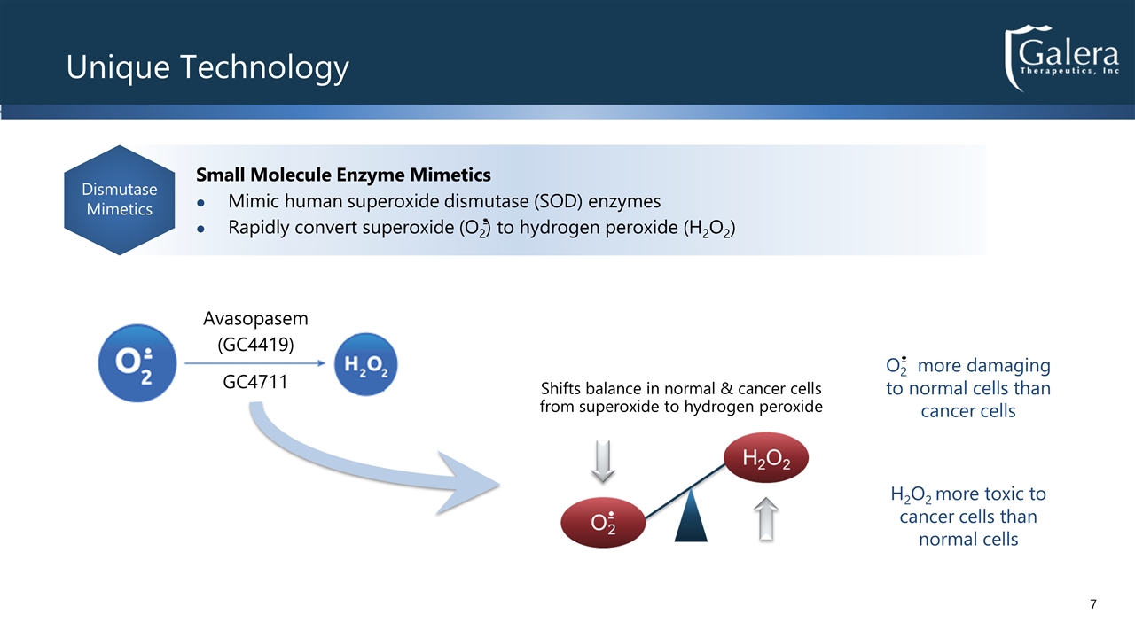 Slide 7