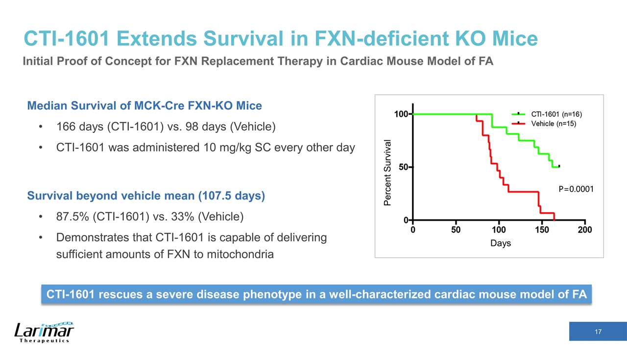 Slide 17