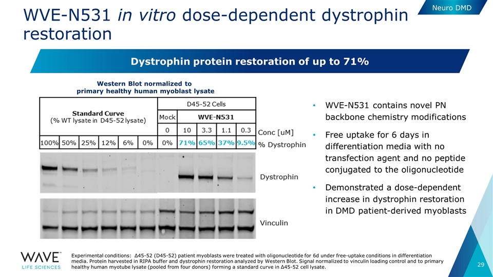 Slide 29